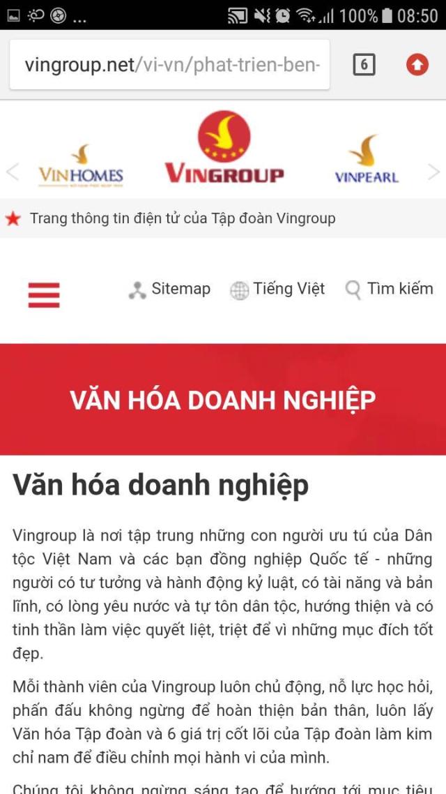 Nghe văn hóa doanh nghiệp của Vingroup là kỷ luật, yêu nước, có trách nhiệm... l...