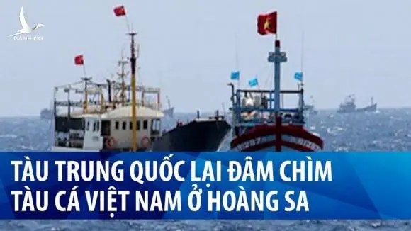 Ngư dân đừng biến mình thành con mồi của Trung Quốc trên biển Đông