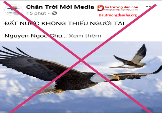 Nguyễn Ngọc Chu- sao phải 'ươn hèn' đến vậy!