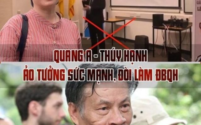 Nguyễn Thúy Hạnh bị bắt có đúng người đúng tội?