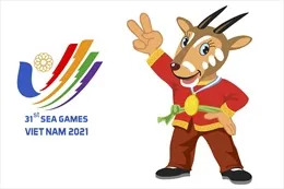 Lùi SEA Games 31 đến quý II/2022, không đăng cai ASEAN Para Games 11