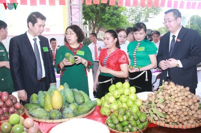 Ông Tòng Thế Anh trúng cử Bí thư Huyện ủy Yên Châu, Sơn La