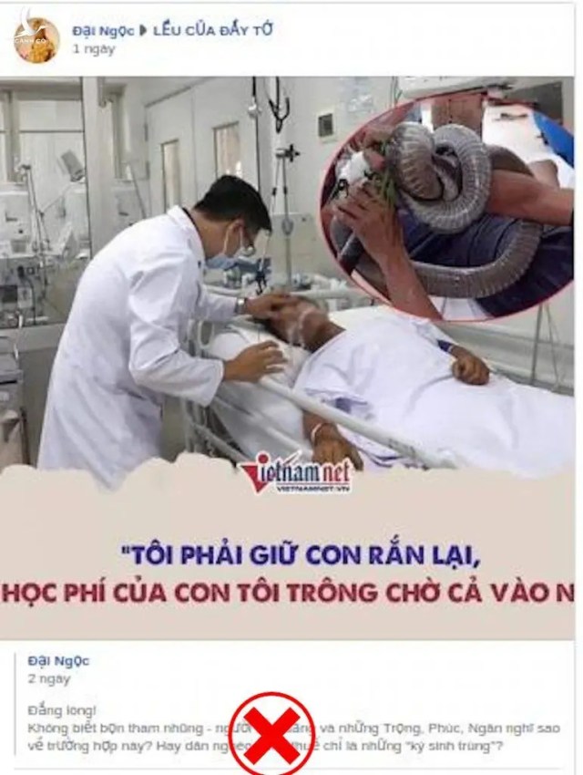 Phải tuyên án tử cho con rắn hổ mang chúa dám cắn tay anh nông dân