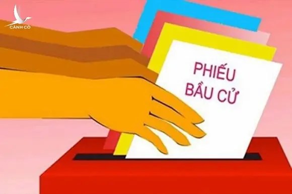 Pháp luật quy định thế nào?