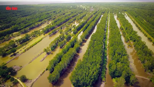 Phát triển bền vững du lịch Cà Mau - Bài cuối: Sẵn sàng cho bước phát triển mới