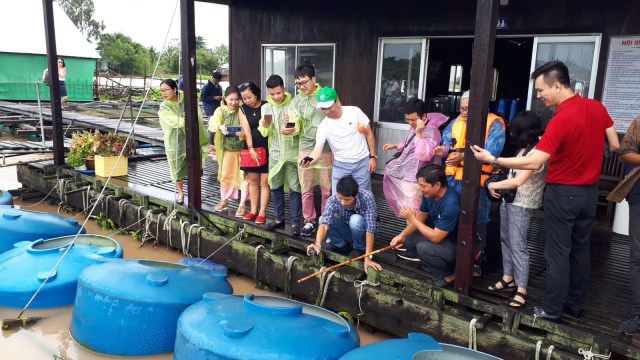 Phát triển bền vững du lịch nông nghiệp ở ĐBSCL - Bài 2: Đẩy mạnh liên kết, gắn với văn hóa bản địa 