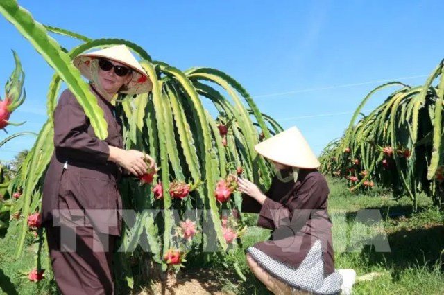 Phát triển du lịch nông thôn - Bài cuối: Khai thác giá trị nổi bật để tạo sản phẩm đặc sắc