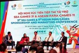 Tháng 11, dự kiến phân loại thương tật các VĐV tham dự ASEAN Para Games