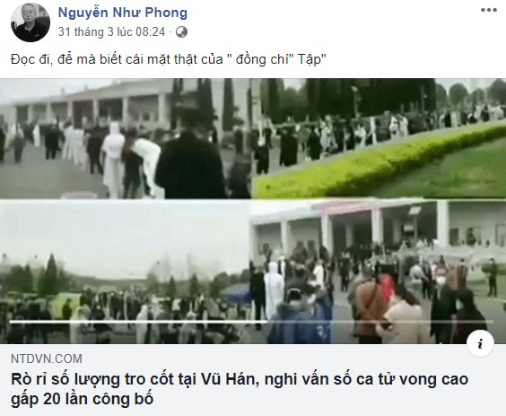 Phong này là Phong hủi