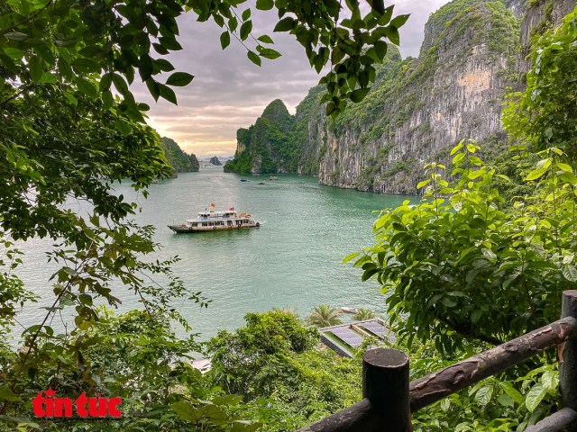 Quảng Ninh chủ động 'tiếp thị', thu hút khách du lịch nội địa