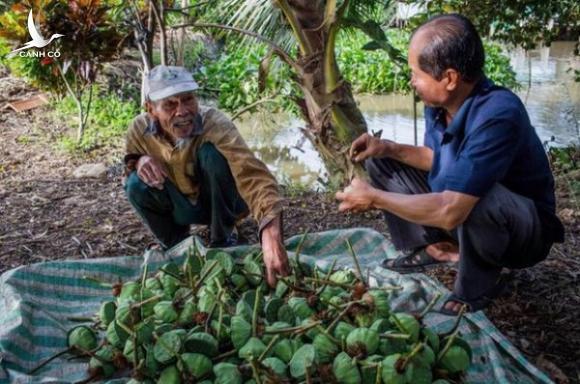 Quyền lực có đổi lấy được sự kính phục và lòng yêu thương của nhân dân?