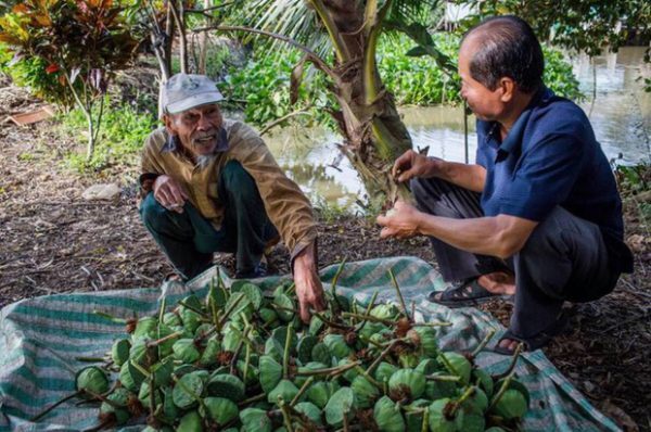 Quyền lực có đổi lấy được sự kính phục và lòng yêu thương của nhân  dân?