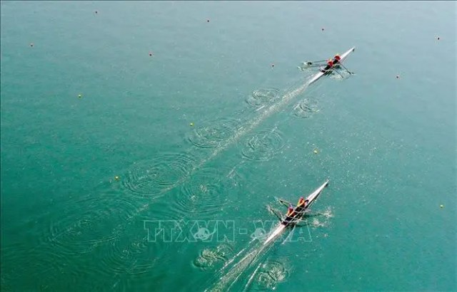 Rowing giành vé dự Olympic Tokyo thứ 7 cho thể thao Việt Nam