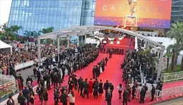 Sao Hollywood bị trộm đột nhập khi tham dự Liên hoan phim Cannes