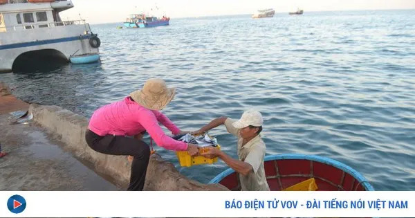 Sắt son lời thề giữ biển: Biển, đảo là máu thịt Tổ quốc