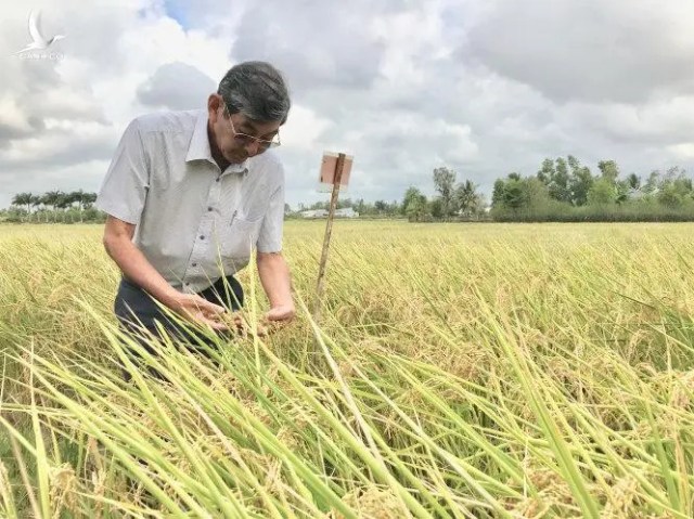 Tầm nhìn khoa học Việt Nam qua phát biểu của Thường trực Ban Bí thư Trần Quốc Vượng