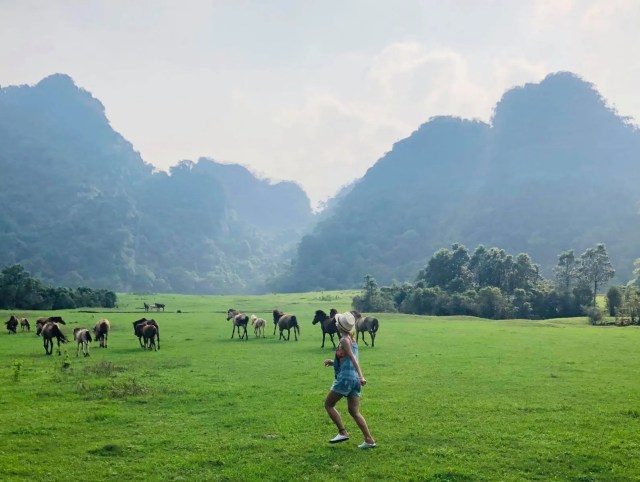 Tạo dựng sản phẩm đặc trưng thu hút khách du lịch nội địa