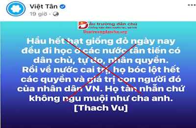 Thach Vu với cái nhìn lệch lạc