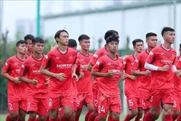 Thái Lan lợi gì nếu hoãn AFF Cup 2020?