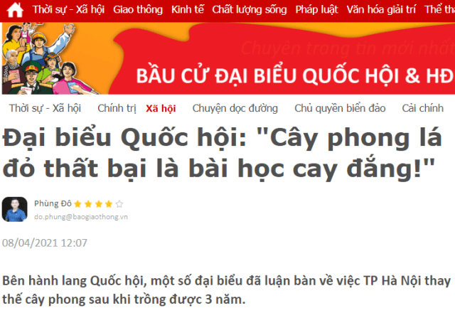 Thử nghiệm trồng cây phong lá đỏ: Sao lại là bài học cay đắng hả anh Nhưỡng?