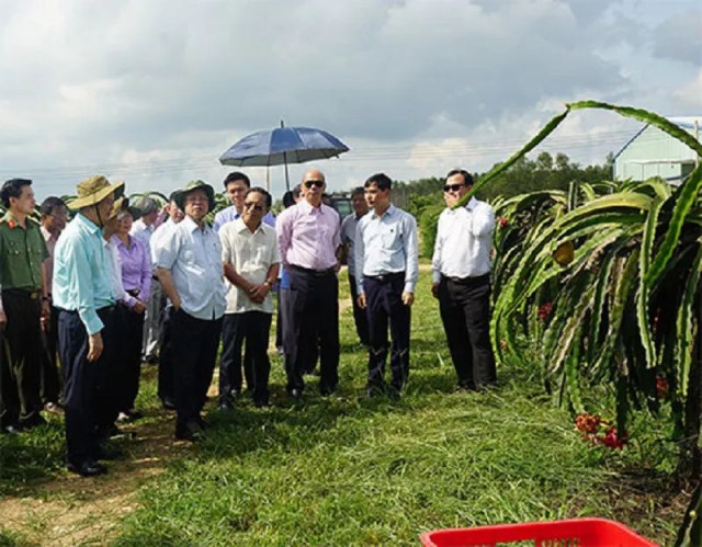 Thường trực Ban Bí thư Trần Quốc Vượng thăm và làm việc tại Bình Thuận