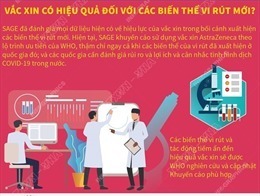 Thúy Diễm 'Cát đỏ' kêu gọi fan dừng bình chọn tại VTV Awards 2021