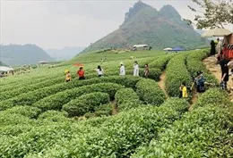 Tour đêm Đền Hùng - lựa chọn mới cho du khách trong dịp giỗ Tổ Hùng Vương