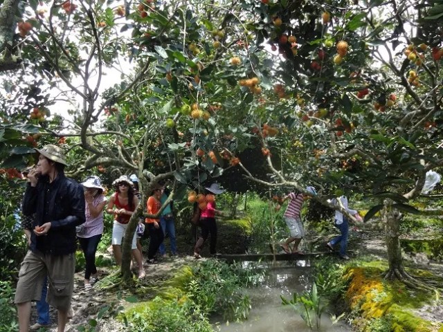 TP Hồ Chí Minh làm mới sản phẩm du lịch để hút khách nội địa