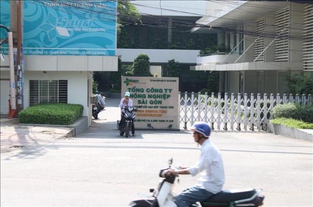 TP HỒ CHÍ MINH THI HÀNH KỶ LUẬT ĐẢNG MỘT SỐ TỔ CHỨC, CÁ NHÂN VI PHẠM