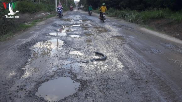 Trên bảo, dưới không nhúc nhích