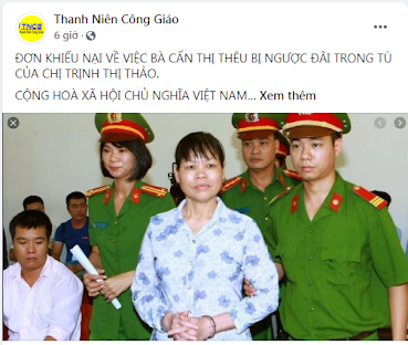 Trò hề từ “Đơn khiếu nại” của Trịnh Thị Thảo