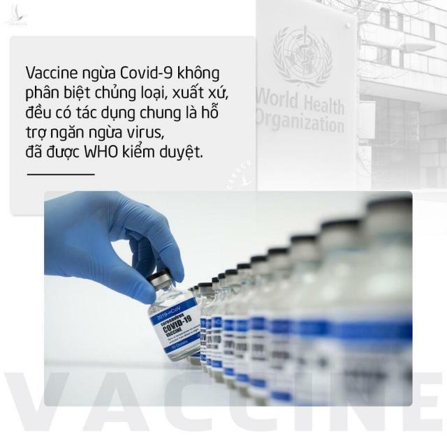 Vạch trần âm mưu lèo lái dư luận hiểu sai công dụng của vaccine