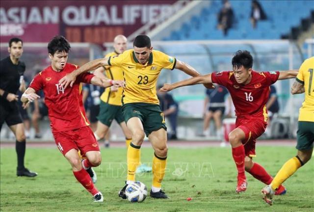 VFF đề nghị FIFA và AFC tăng cường kiểm tra chất lượng công tác trọng tài VFF đề nghị FIFA và AFC tăng cường kiểm tra chất lượng công tác trọng tài
