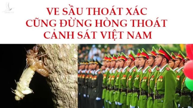 Việt Nam biến lời nói thành hành động: Vì một cộng đồng ASEAN không có ma túy