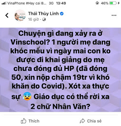 Vụ trường VinSchool: Gửi chị Thái Thùy Link