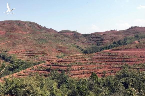 ‘Tôi có phải người Việt Nam không’ và trăn trở của Bí thư Mường Nhé